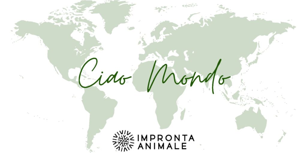 Mappa del Mondo con scritta "Ciao Mondo!"