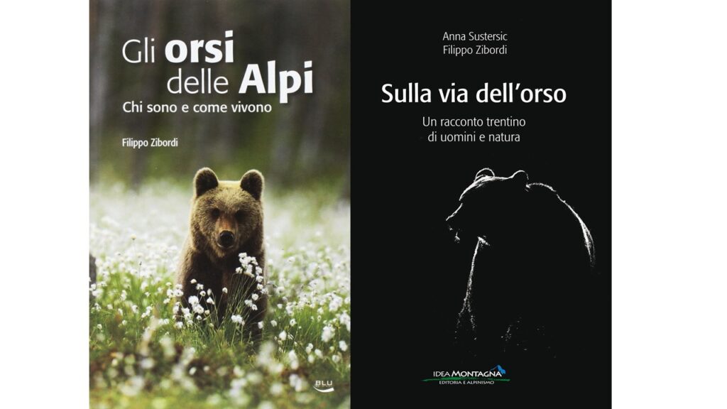 I libri di Filippo Zibordi: "Gli orsi delle Alpi, chi sono e come vivono" e "Sulla via dell'orso- un racconto trentino di uomini e natura"