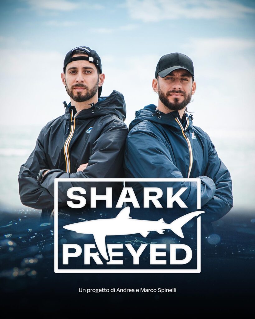 Shark Preyed, il progetto di Andrea e Marco Spinelli (sullo sfondo)