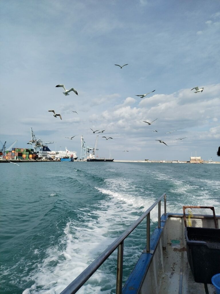 Porto di Ancona da peschereccio (Foto di Greta L. Cerrone)